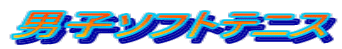 男子ソフトテニス